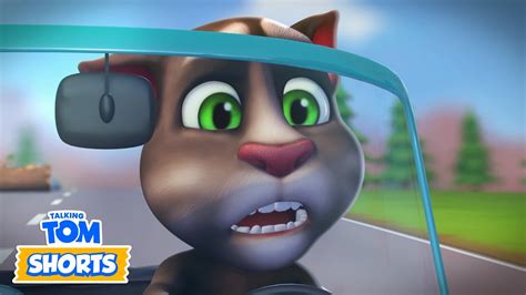 talking tom shorts|funny talking tom shorts.